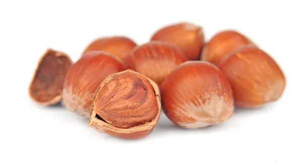 Fillbert ořechy — Stock fotografie