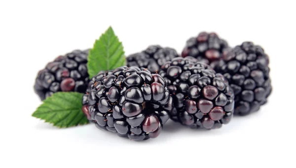 ブラックベリーの果実 — ストック写真
