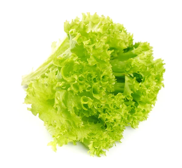 Ensalada de lechuga aislada — Foto de Stock