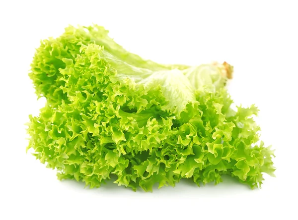 Alface de salada — Fotografia de Stock