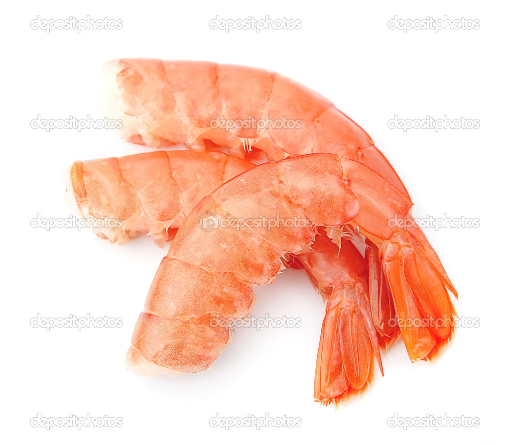 Shrimps close up on white