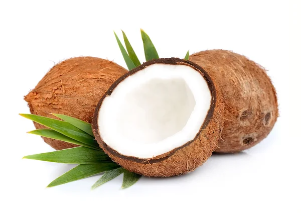 Noci di cocco con foglie — Foto Stock