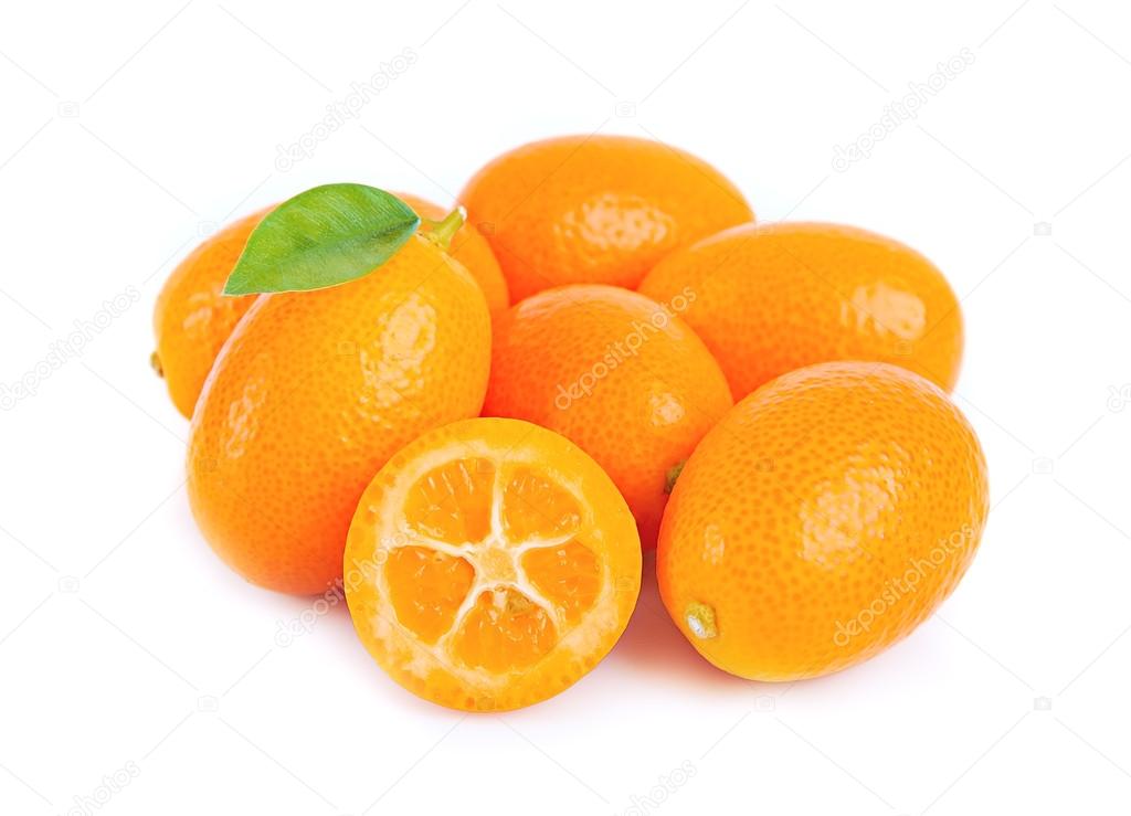 Sweet kumquat Stock Photo by ©margo555 21909727