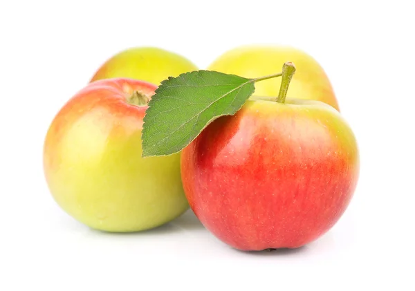 Frutti di mela con foglie — Foto Stock