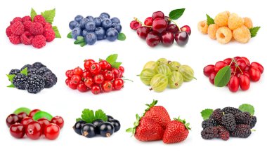 Set of berry clipart