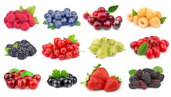 Set of berry — Stock Photo, Image