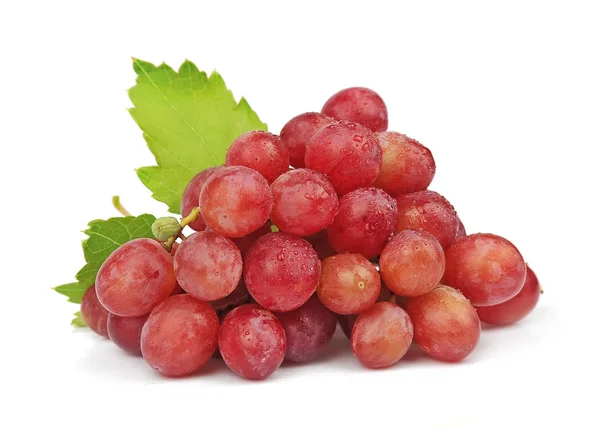 Uvas con hojas — Foto de Stock