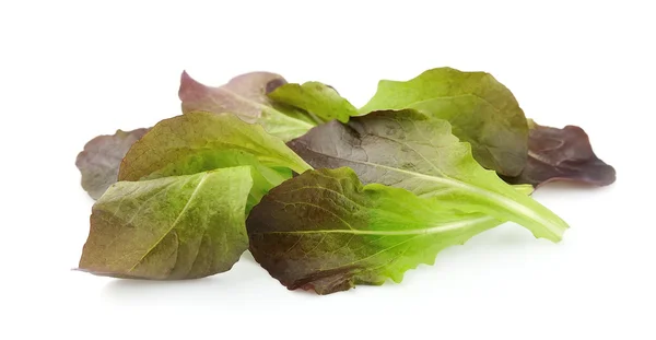 Salatblätter — Stockfoto