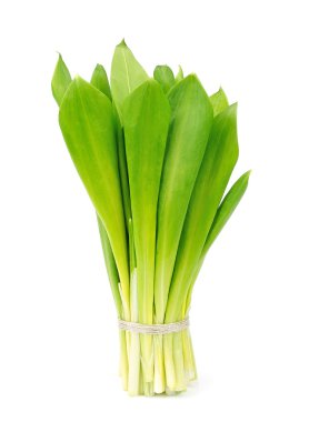 Ramson soğan küme