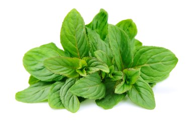 nane yaprağı yakın çekim