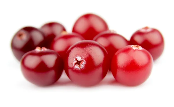 Sweet cranberries — Stock Photo, Image