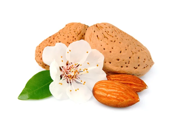 Almonds with leaves and flowers — Stock Photo, Image