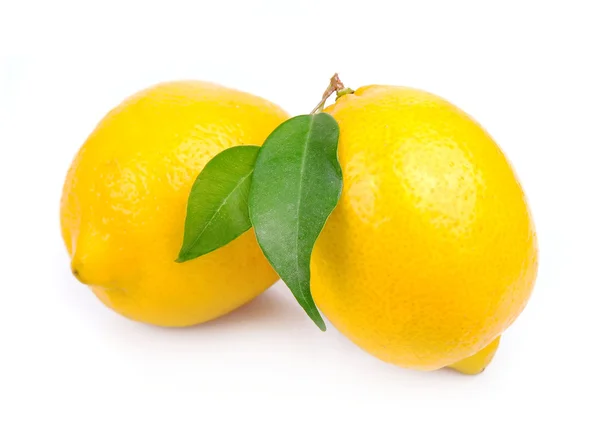 Zitrone mit Blättern — Stockfoto
