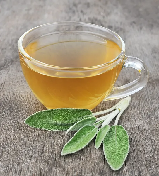 Sage leaves and sage tea — Stock Photo, Image