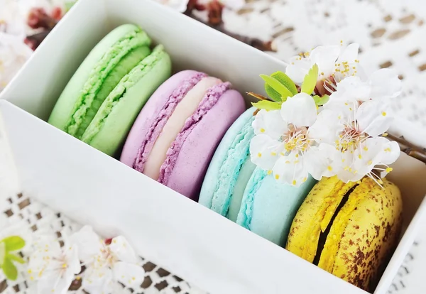 French macaroons — Stock Photo, Image