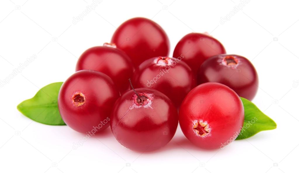 Sweet cranberries close up