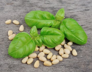 fesleğen ve çam fıstığı