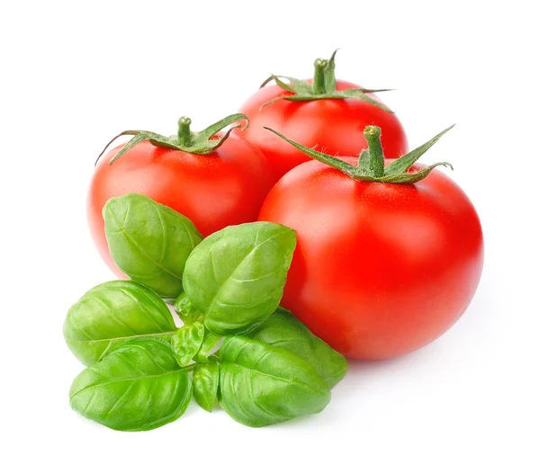 Tomatoes and basil leaves — Stock Photo, Image