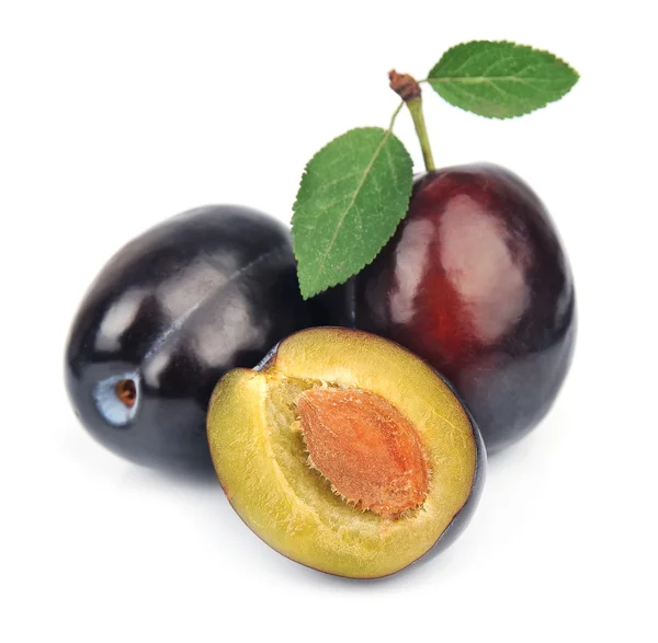 Sweet plums fruit — Stock Photo, Image