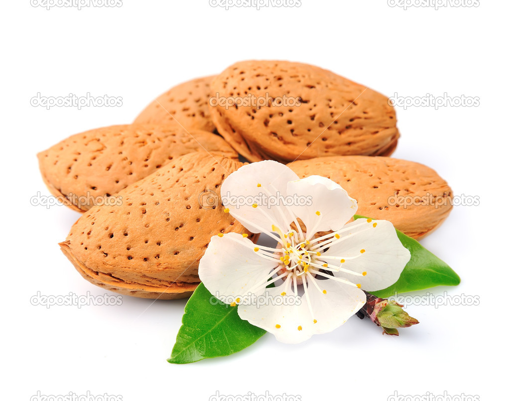 Mandeln mit Blättern und Blüten - Stockfotografie: lizenzfreie Fotos