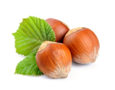 fındık