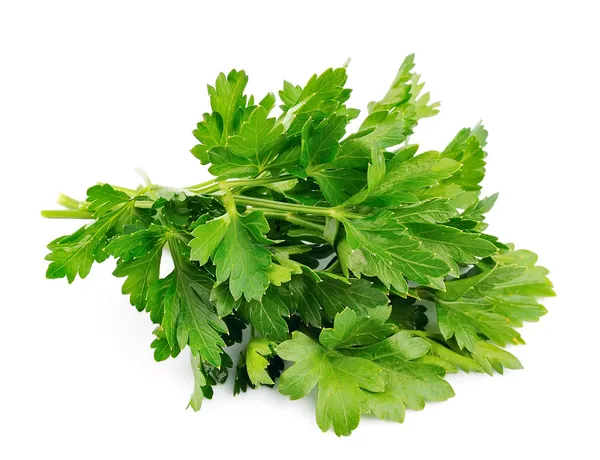 Fresh parsley herb — Stock Photo, Image