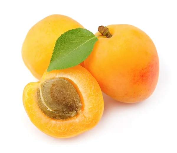 Sweet apricots fruits — Stock Photo, Image