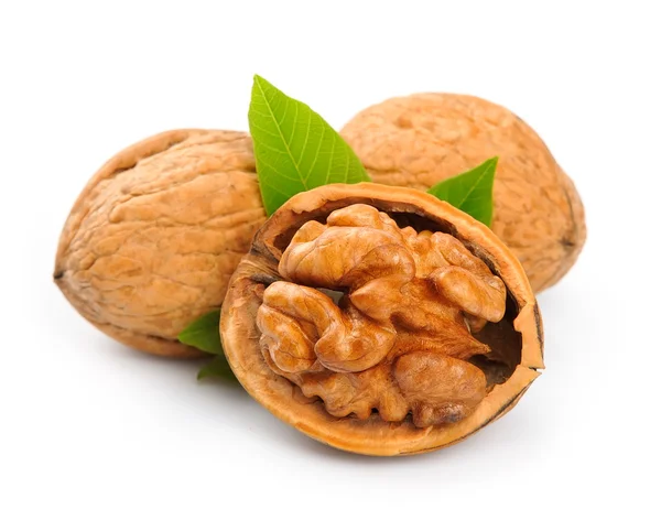 Dried walnut — Stock Photo, Image