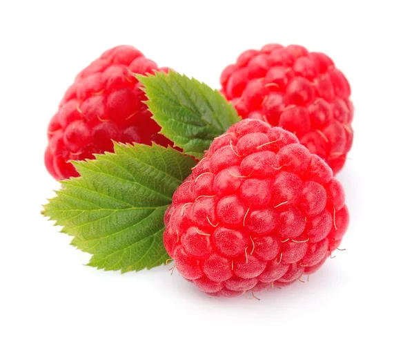 Sweet raspberry — Stock Photo, Image