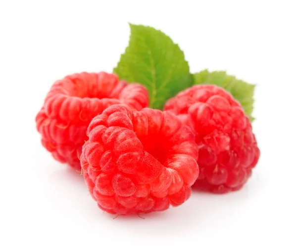 Ripe raspberries isolated — Stock Photo, Image