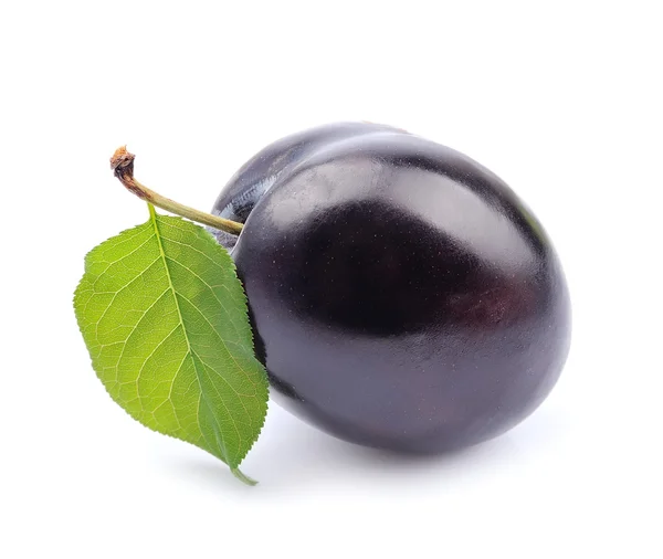 Fruits de prunes douces — Photo