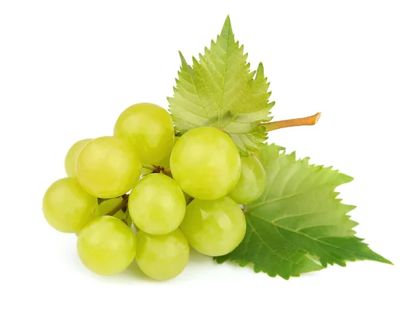 Кластер белого винограда с листьями — стоковое фото