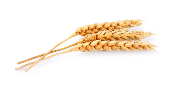 Wheat isolated — Stock Photo, Image