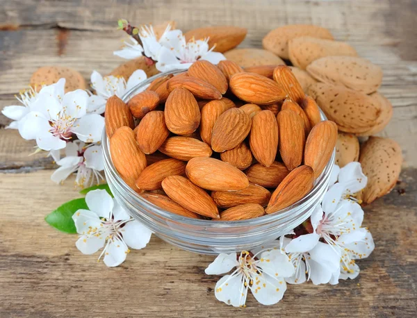 Almonds with flowers close up — Stock Photo, Image