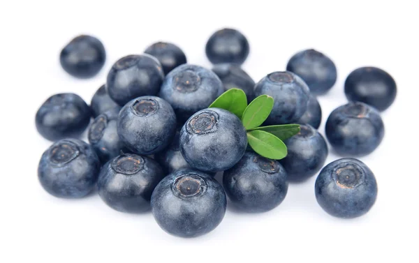 Blueberries — Stock Photo, Image