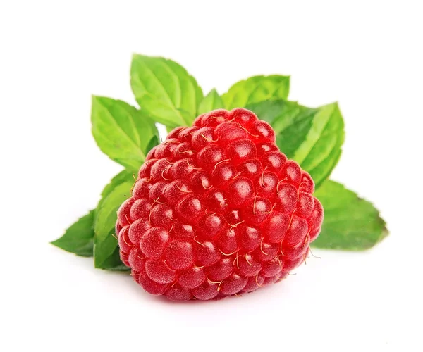 Sweet raspberry with leafs — Stock Photo, Image