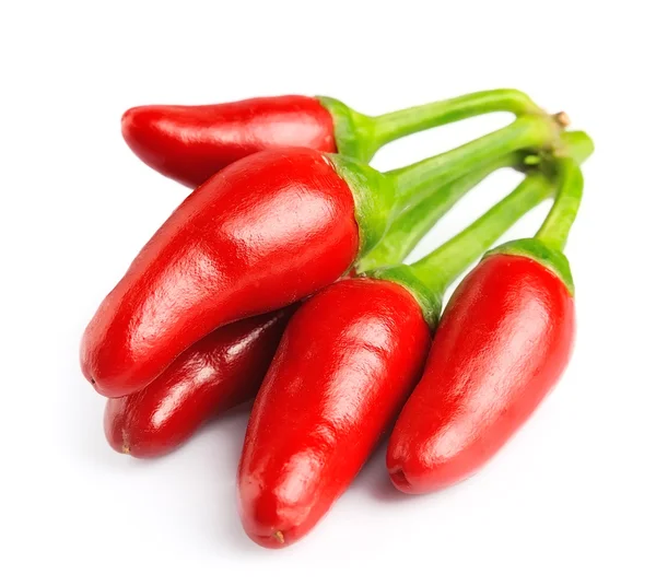 Horká červená paprika nebo chilli — Stock fotografie