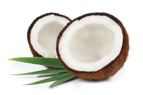 Cocos con hojas — Foto de Stock