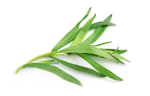 Tarragon herbs — Stock Photo, Image