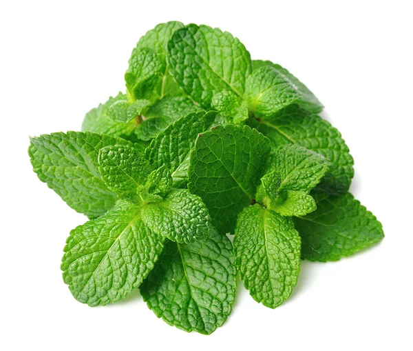 Fresh mint — Stock Photo, Image