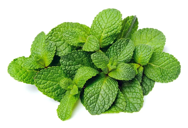 Fresh mint — Stock Photo, Image