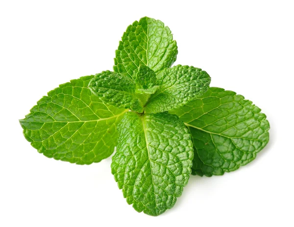 Mint isolerade — Stockfoto