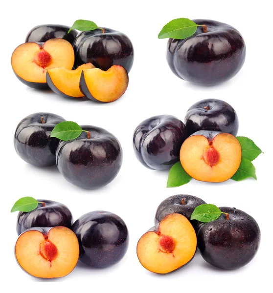 Collage di prugne dolci frutta — Foto Stock