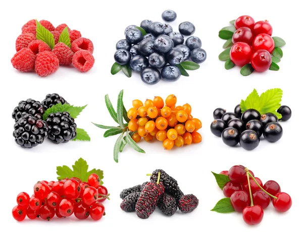 Set of berry — Stock Photo, Image