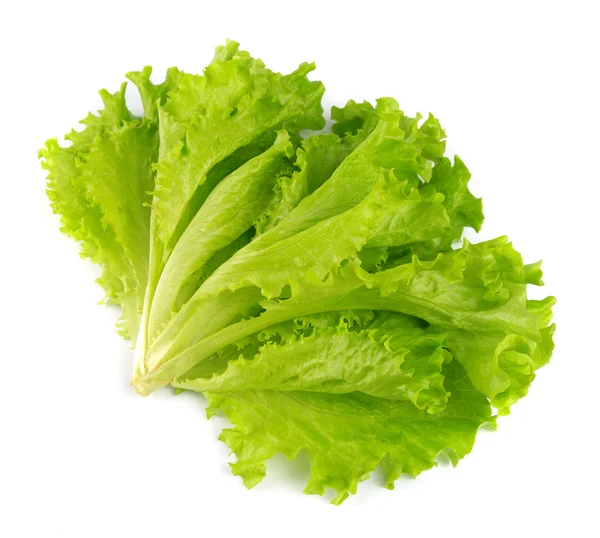 Ensalada de lechuga — Foto de Stock