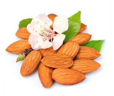 yaprakları ile badem