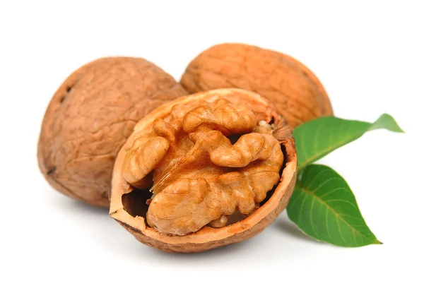 Walnuts close up — Stock Photo, Image