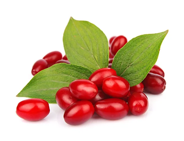 Zoete dogberry — Stockfoto