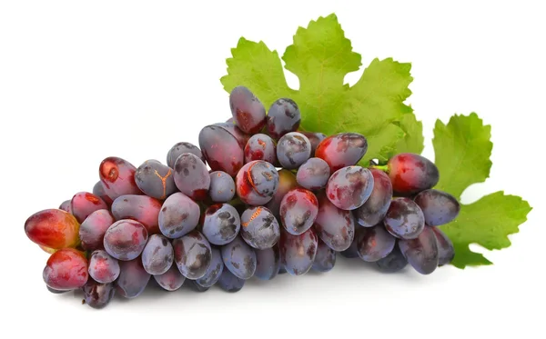 Uvas con hojas — Foto de Stock