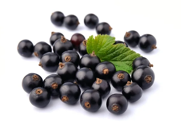 Sweet black currant with leaves — Stock Photo, Image